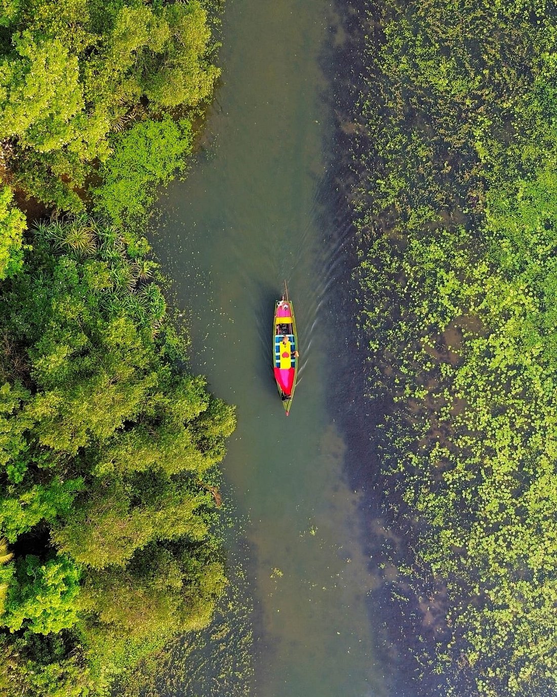 Honnavar – Backwaters & mangrove magic