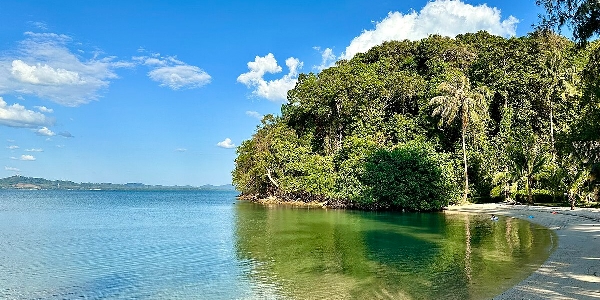 Half Moon Beach